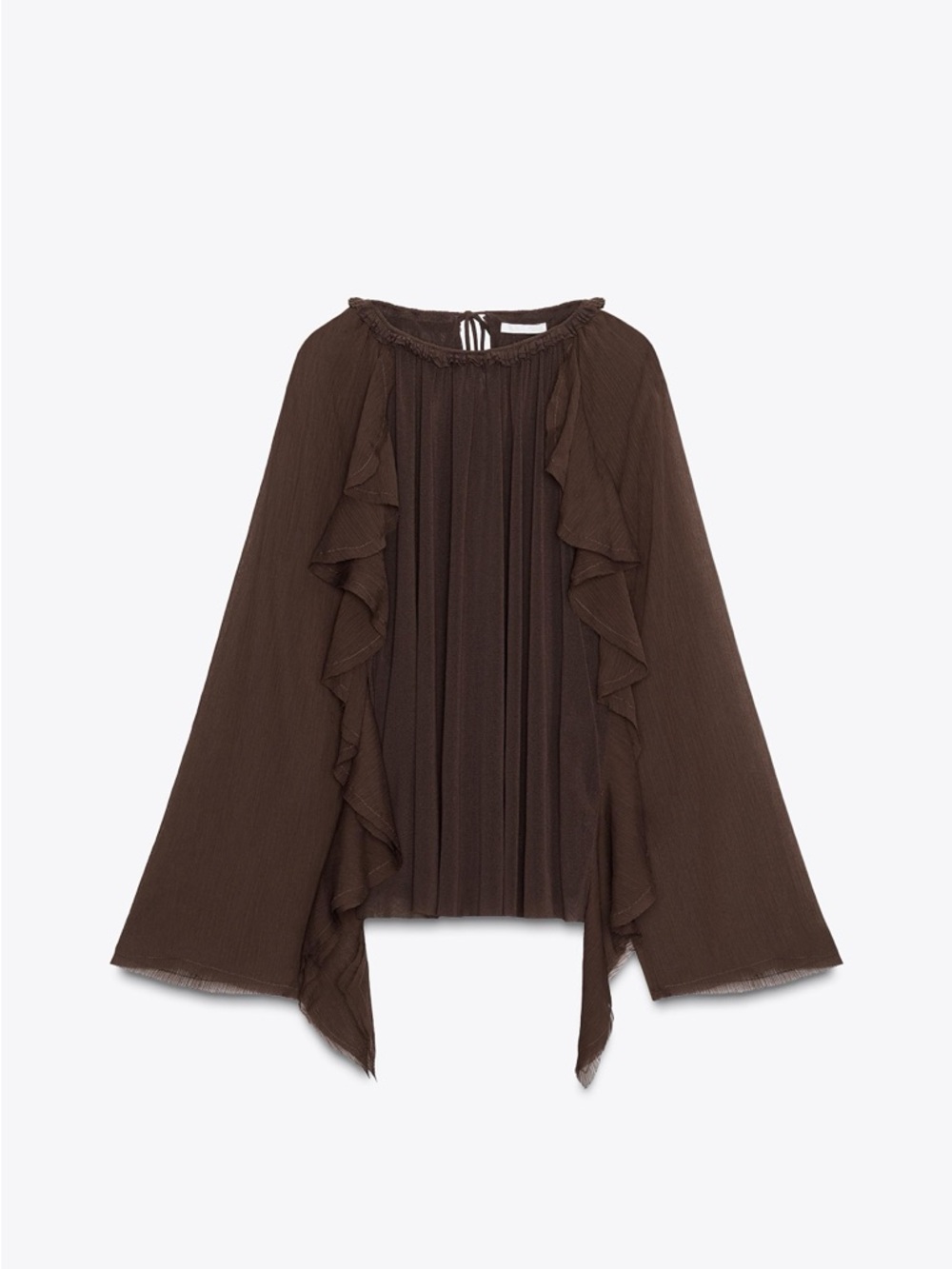 Zara Brown Ruffled Sheer Blouse